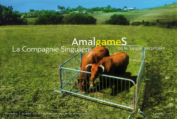 Amalgames