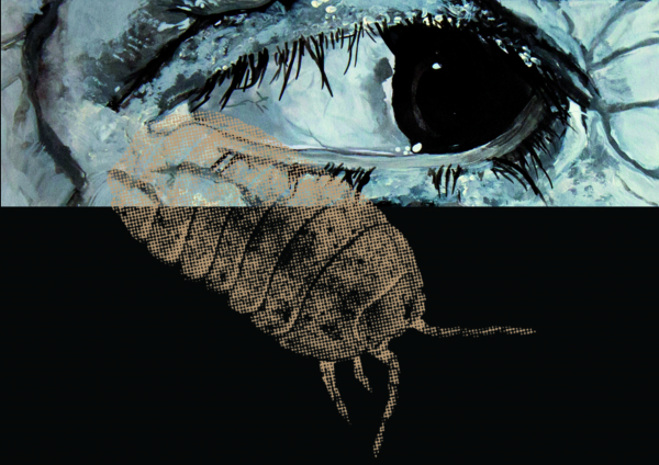 Baski Insekte