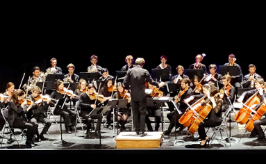 Ensemble-Orchestral-de-la-Villedieu