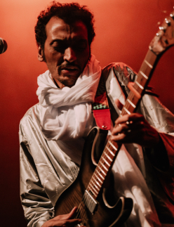 BOMBINO