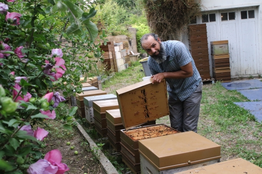 Trappes miel appiculteur Vignette