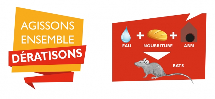 Dératisation Rat Trappes Vignette