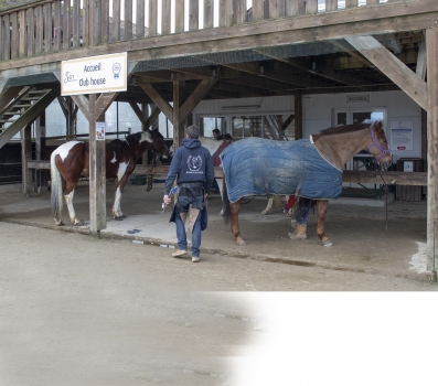 centre equestre Trappes SQY Vignette