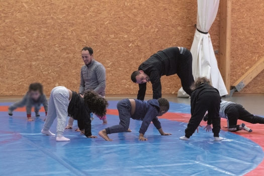 BBHW Tremplin de Gymnastique Équipement de Voûte Portable pour Enfants pour  la Pratique de la Salle de Jeux à Domicile, Enfants Juniors en Bois Dur  Épaissi Tremplin de Gymnastique : : Sports