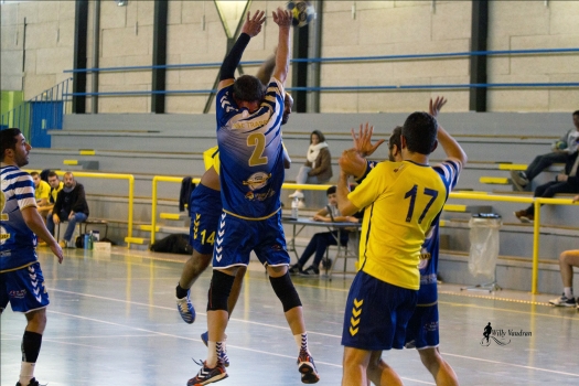Handball Trappes Vignette