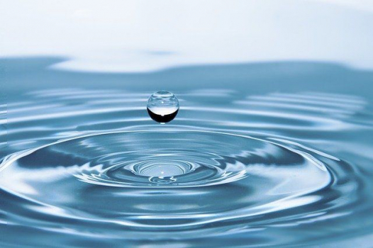 Journée mondiale de l'eau